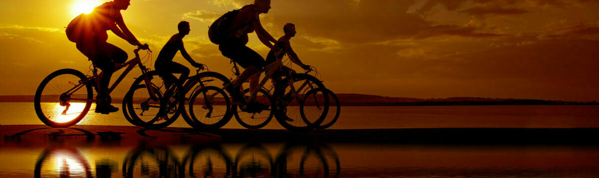 people biking on sunset