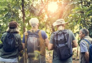 Group of senior adults trekking in the forest