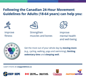 24 Hour Movement Guidelines for Adults