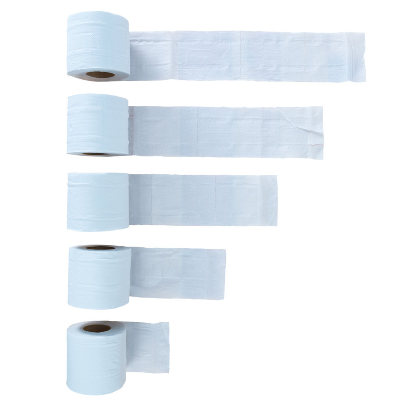 A series of toilet paper rolls unwound to different lengths