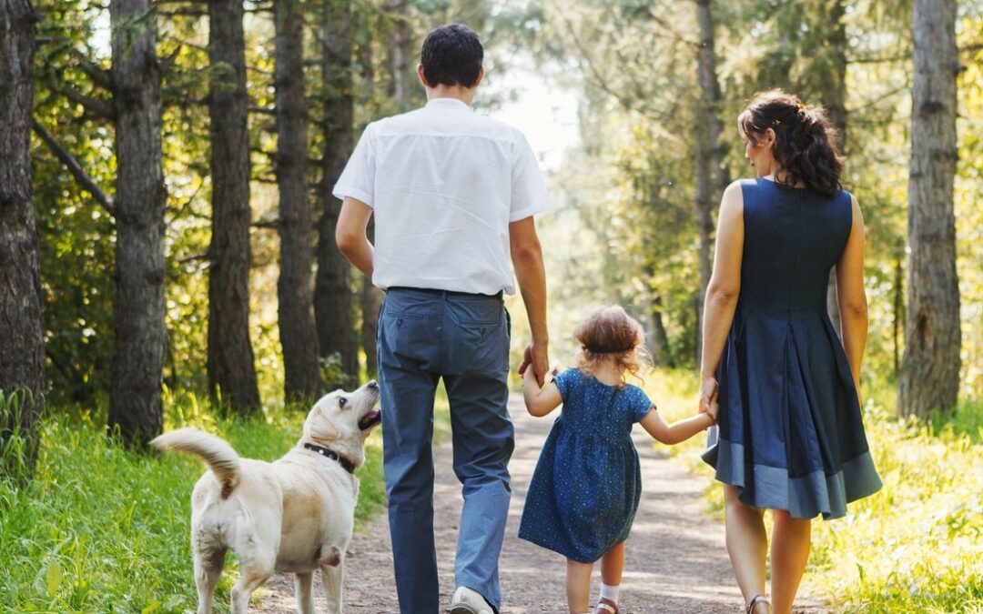 Sept habitudes de vie active à poursuivre pendant l’automne