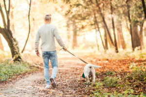 A man walking a dog on a nature trail. 