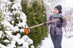 A woman sweeping snow off a tree.