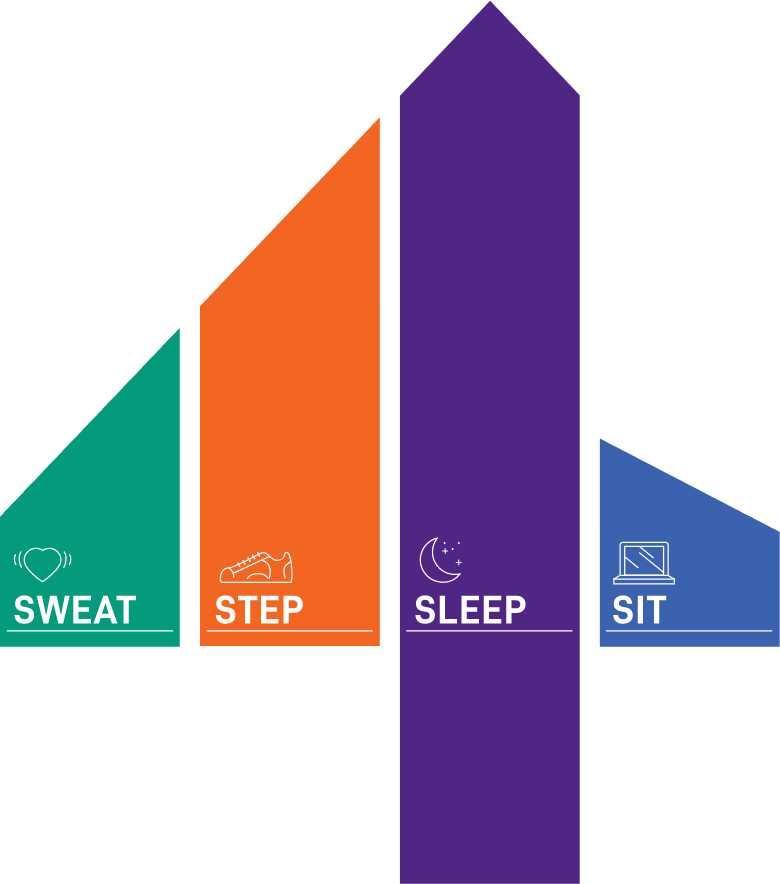 24-Hour movement guidelines chart icon