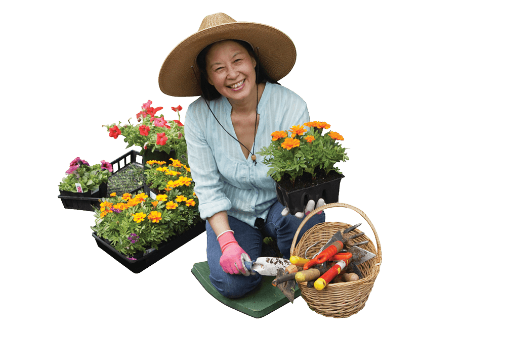 Elderly woman smiling doing gardening surrounded by flowers