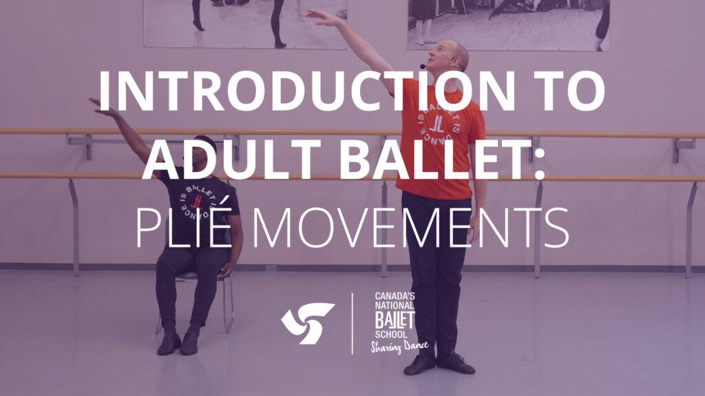 Adult Ballet Plié Movements