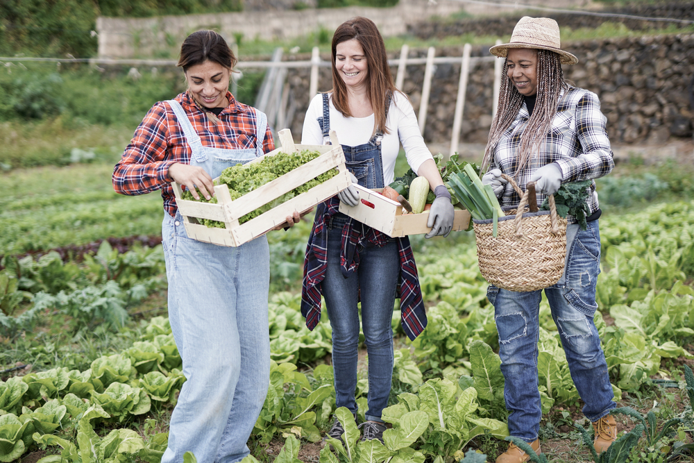 A group of people working in a community garden.