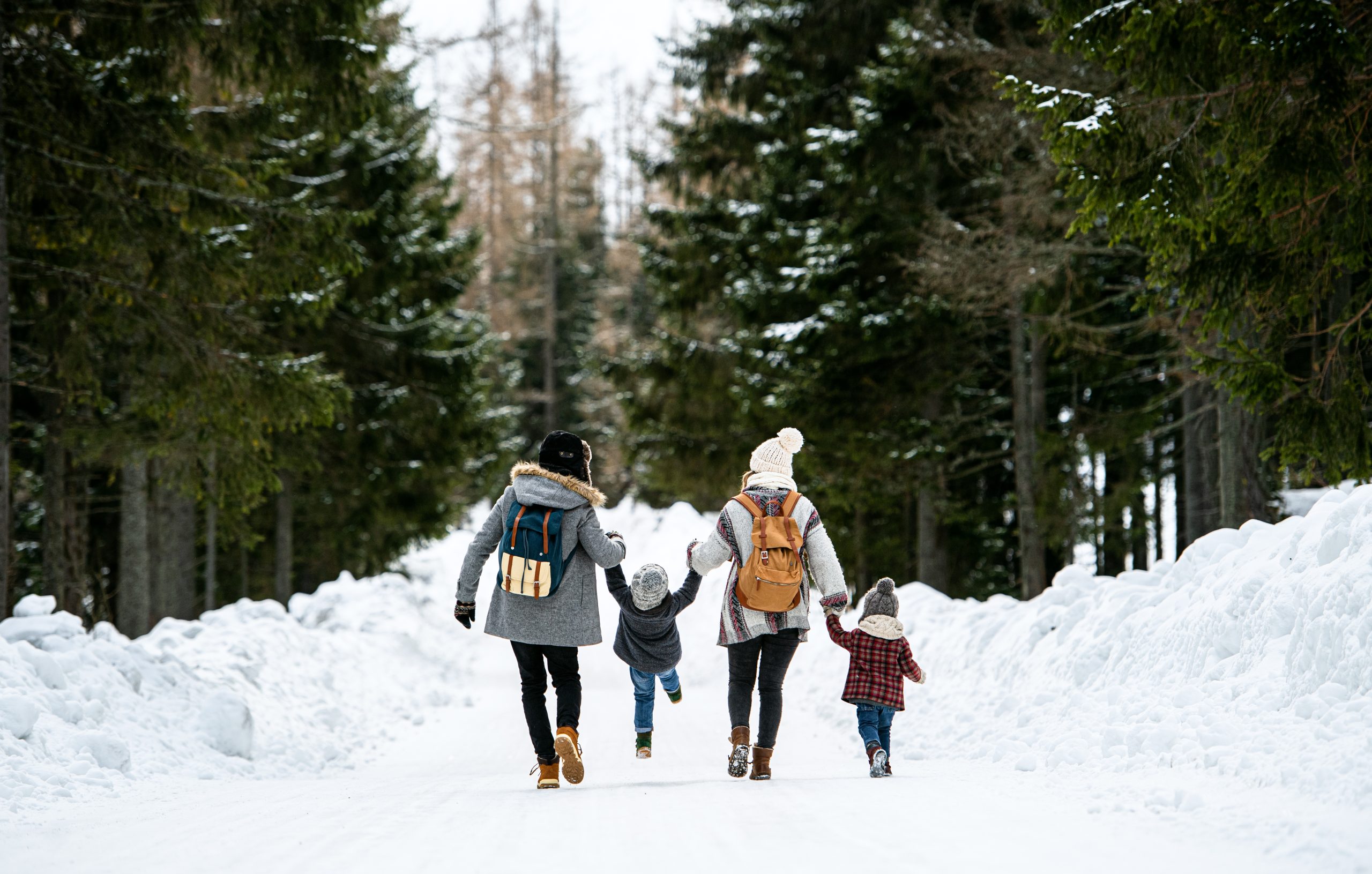 A family of four holding hands while walking on a snow-covered nature trail. 