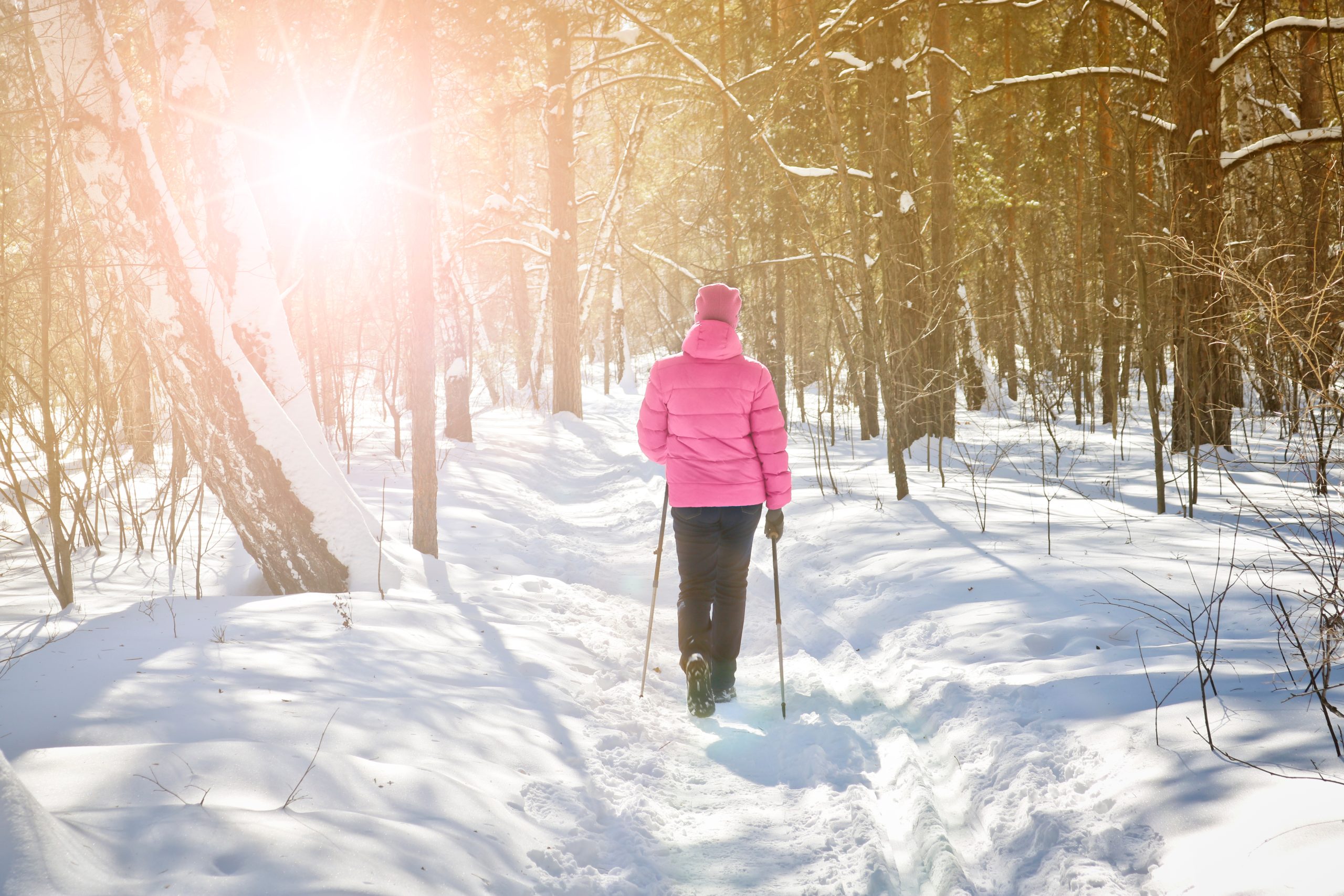 A person pole walking on a snow-covered forest trail. 
