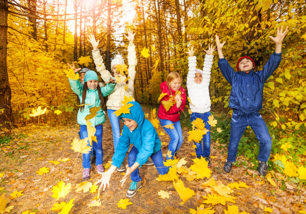 A group of kids in a forest throwing leaves in the air.