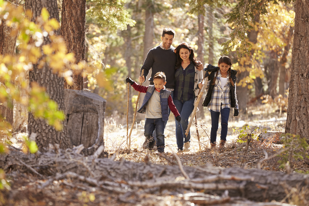 A family walking through a forest. 