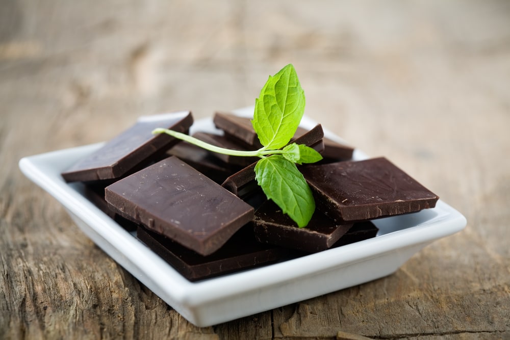 A plate of dark chocolate topped with a mint leaf. 