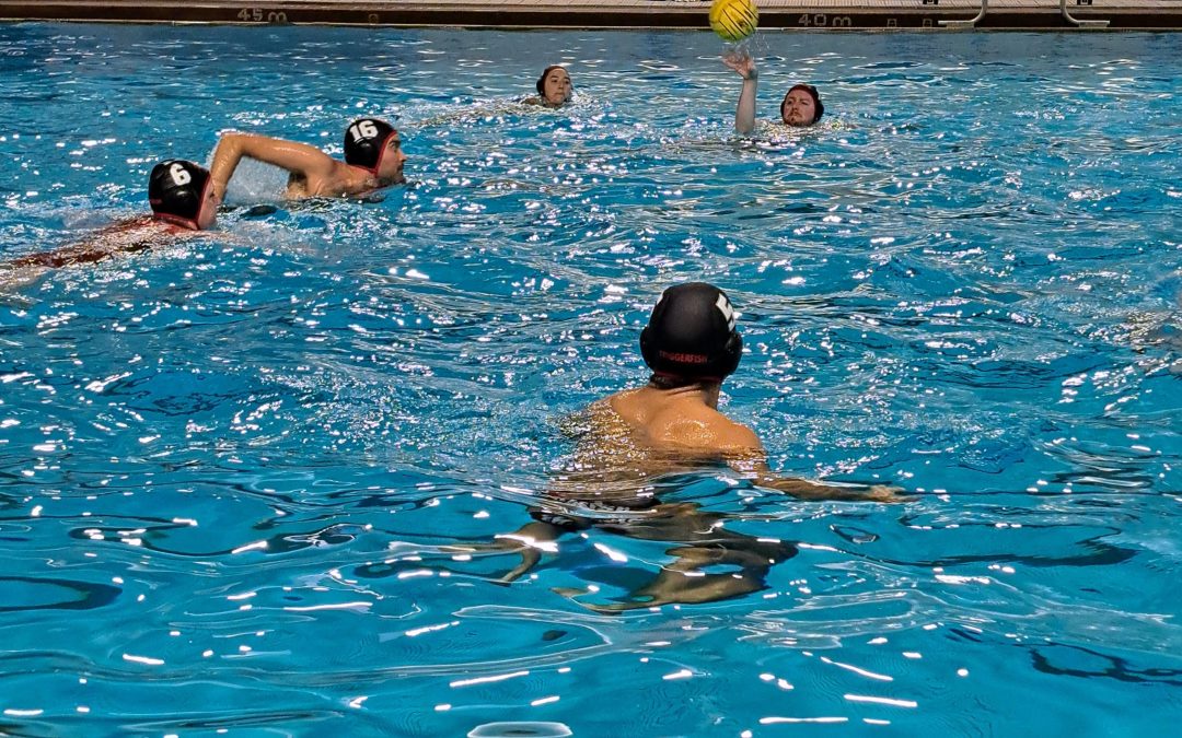From swimming solo to playing water polo: How I found my active crowd