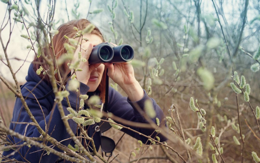 Spread your wings this spring: 3 surprising benefits of birdwatching and 4 tips to get started