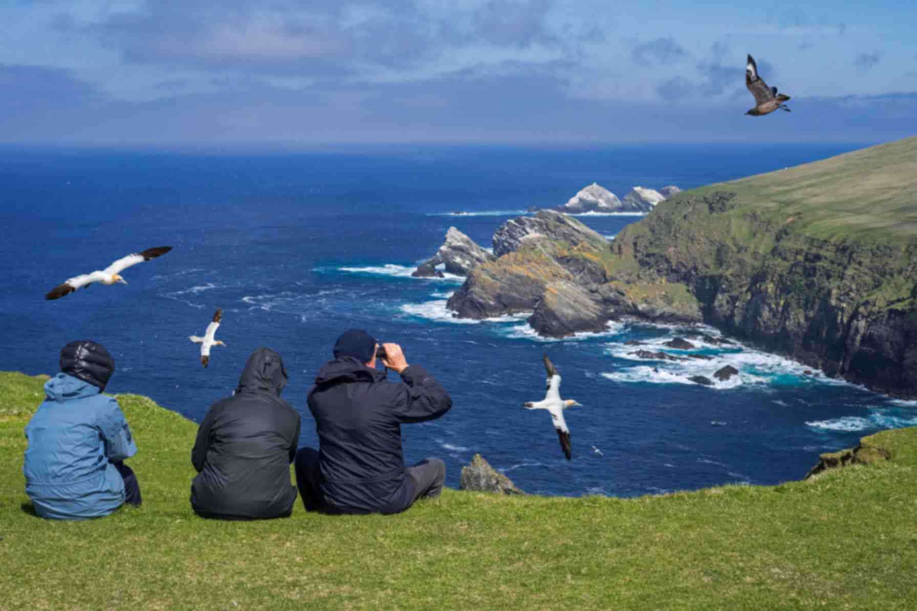 People sitting on a cliff watching birds flying over the ocean