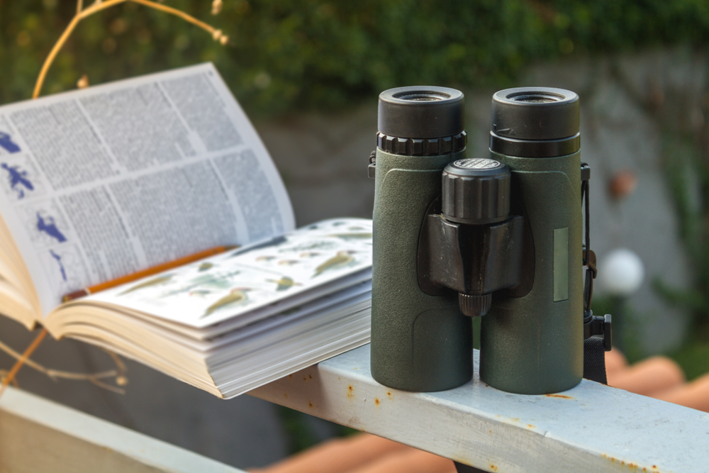A bird field guide and binoculars on a railing. 