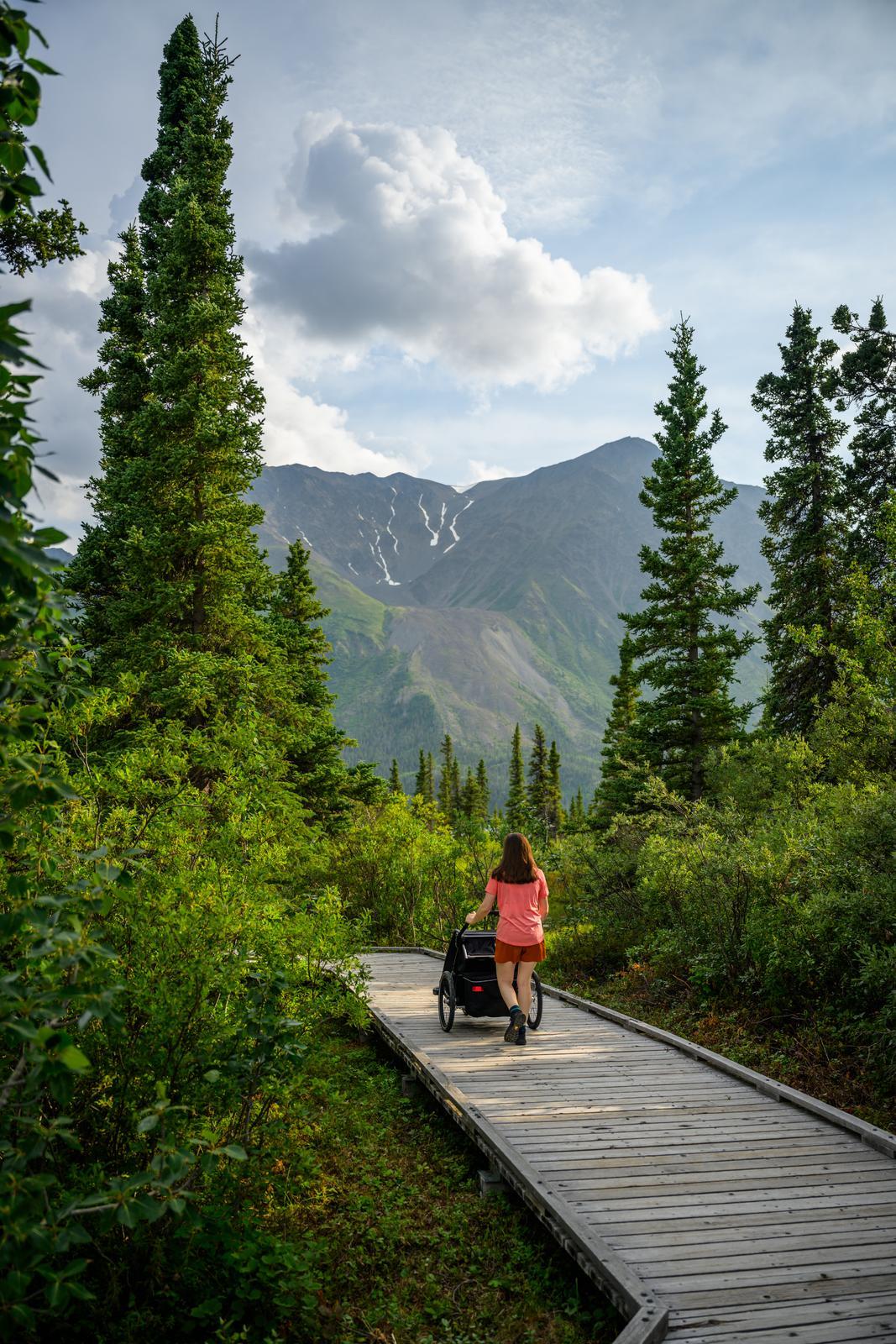 A woman pushing a stroller on a boardwalk surrounded by forest and overlooking a mountain. A woman pushing a stroller on a boardwalk surrounded by forest and overlooking a mountain.
