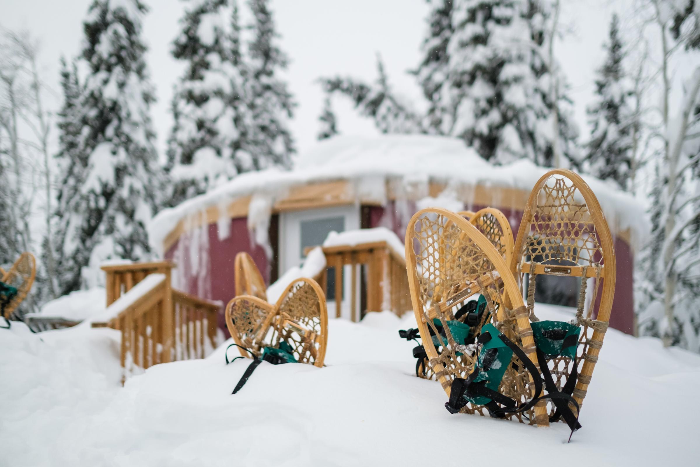 Pairs of snowshoes buried in snow in front of a cabin in the woods. Pairs of snowshoes buried in snow in front of a cabin in the woods.
