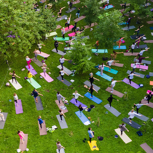 A crowd of people doing yoga in a park.