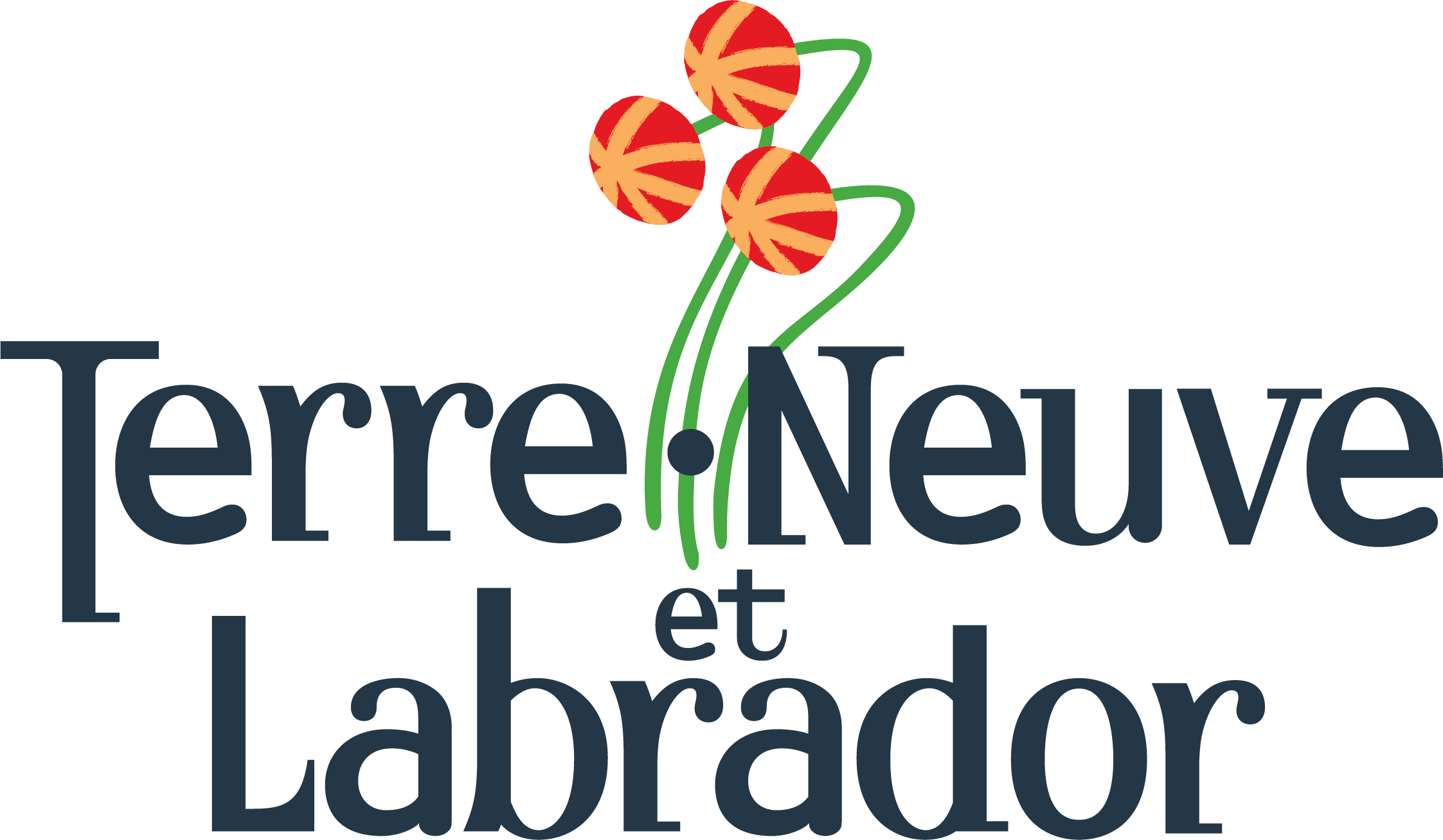 Le logo du gouvernement de Terre-Neuve-et-Labrador Le logo du gouvernement de Terre-Neuve-et-Labrador
