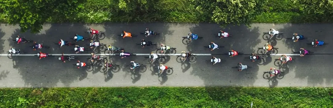 L’édition 2025 du Bulletin de l’activité physique chez les adultes